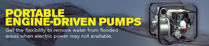 Dayton Portable Engine-Driven Pumps Dayton Portable Engine-Driven Pumps