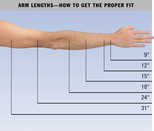 Average Female Arm Length at Patricia Coggins blog