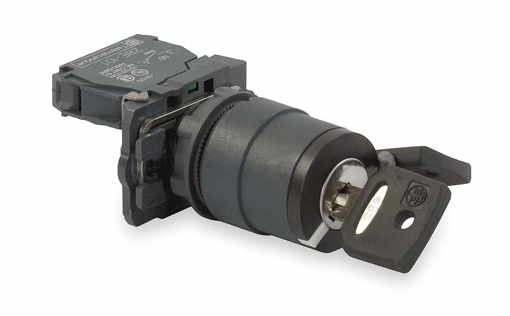 SCHNEIDER ELECTRIC Non-Illuminated Selector Switch, 22 mm, 2 ...