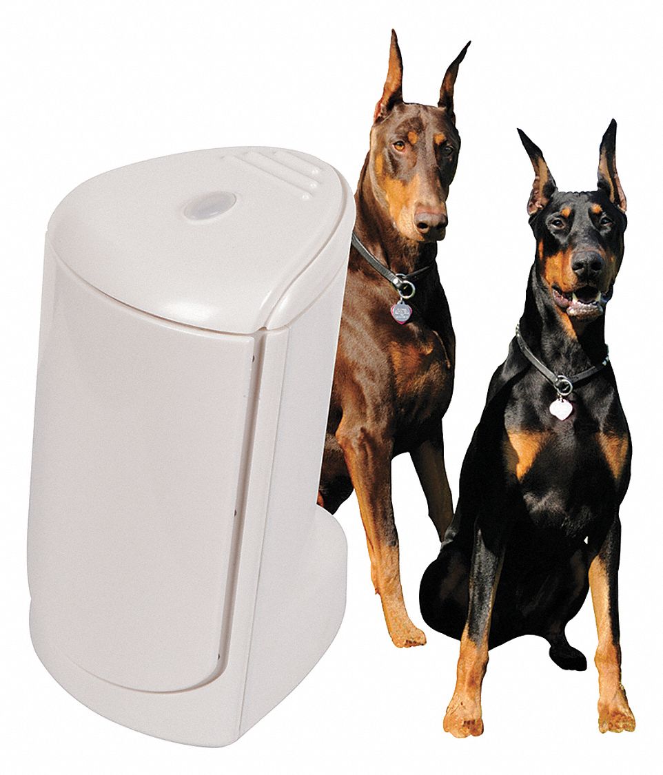 SAFETY TECHNOLOGY INTERNATIONAL Electronic Watchdog Alarm 31CL94ED