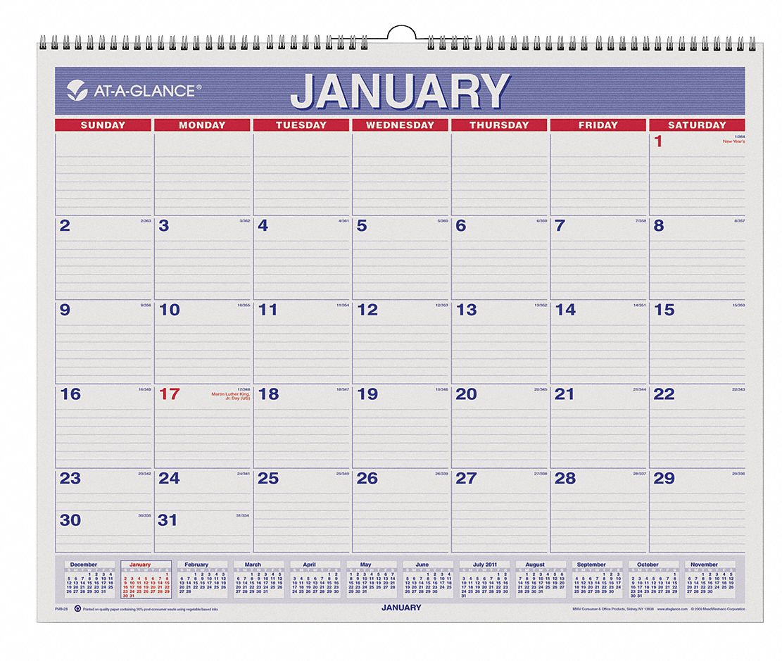 ATAGLANCE White Wirebound Monthly Wall Calendar, Format One Month Per