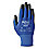 General Purpose Gloves,Black/Blue,10,PR
