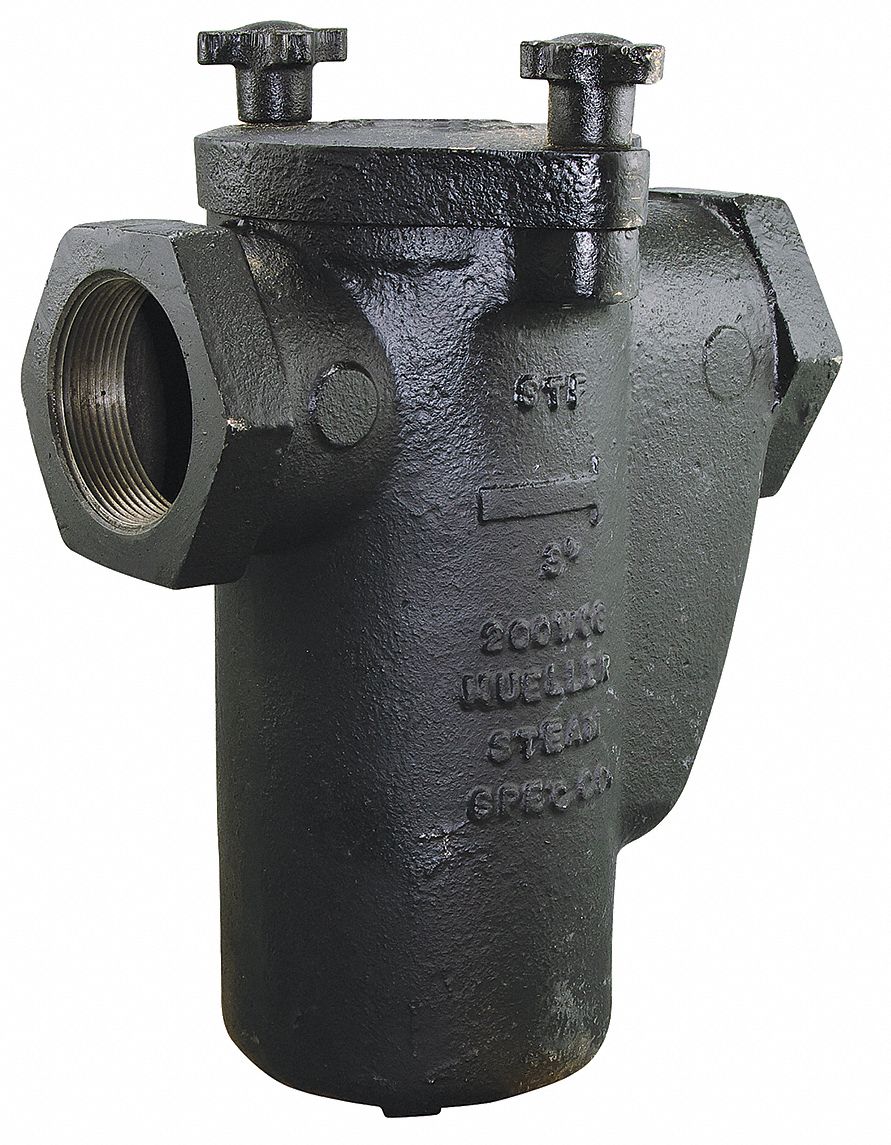 WATTS Basket Strainer, 304 SS, 4", Flanged, BunaN 3NXF84 125F