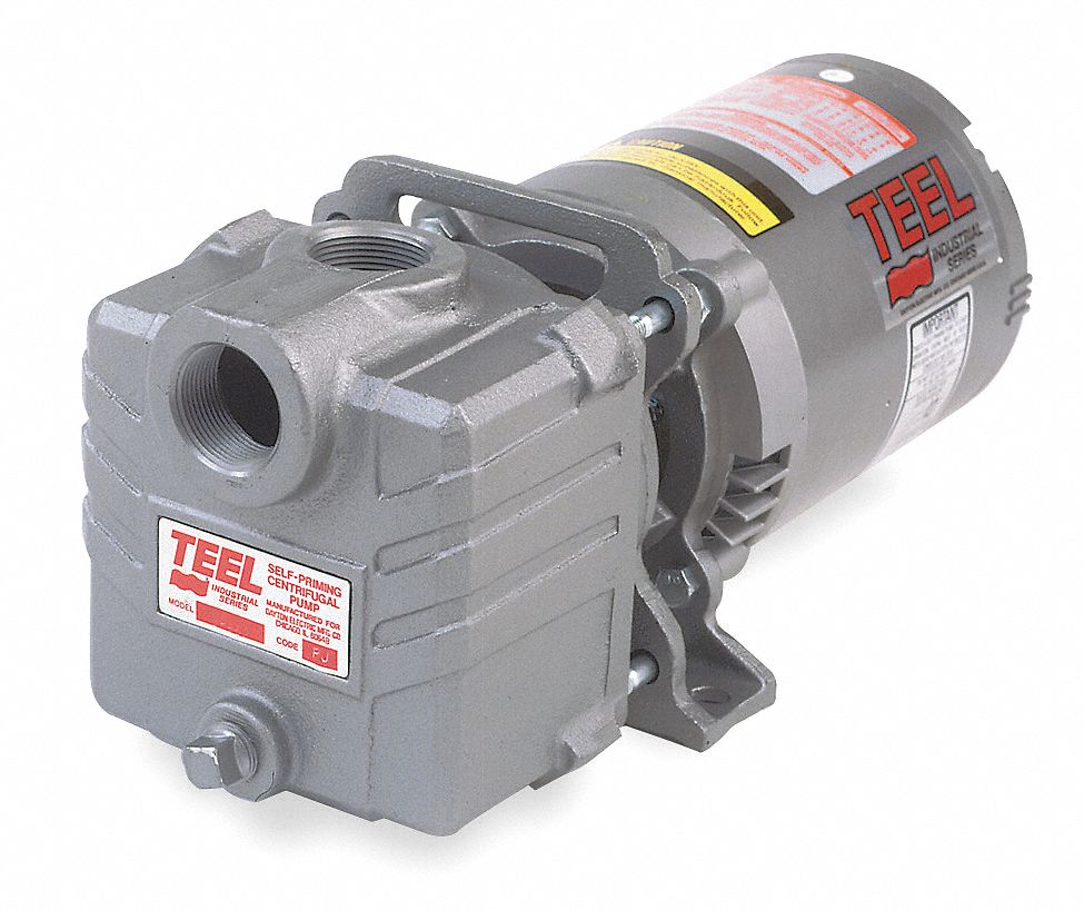 GRAINGER APPROVED Pump, Cast Iron, 1/3 HP 3P5773P577 Grainger