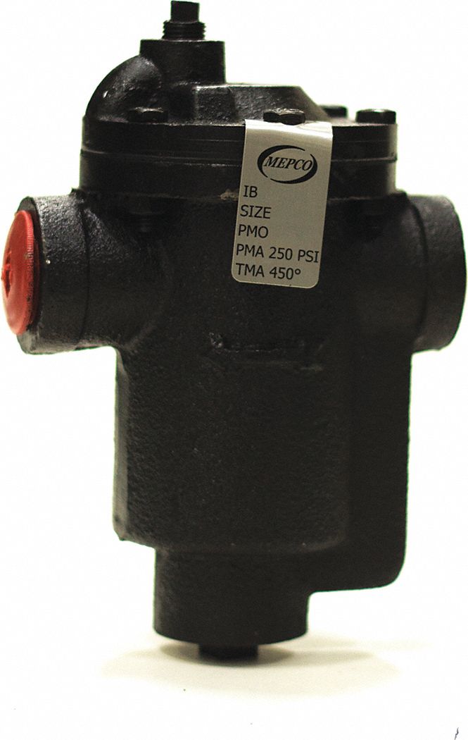 Hoffman 17C Thermostatic Steam Trap 1/2" NPT 25 Psi (401536)