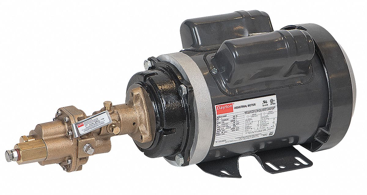 DAYTON Rotary Gear Pump, 125 psi, Bronze, 1 HP, 1 Phase 41TK0641TK06
