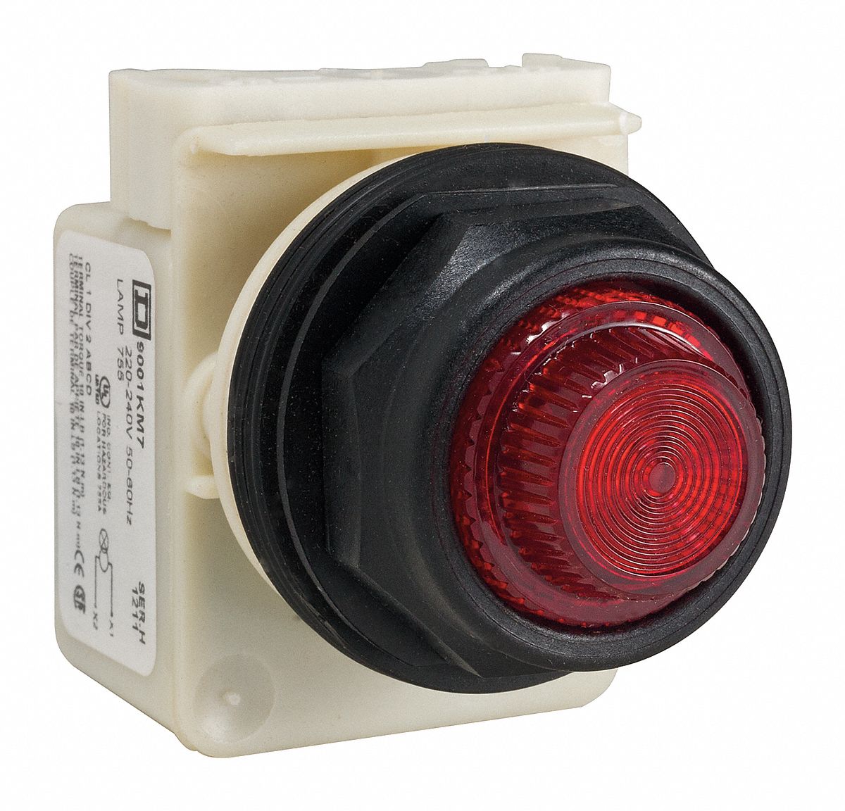 SCHNEIDER ELECTRIC Pilot Light Complete, 30mm, 240VAC Voltage, Lamp