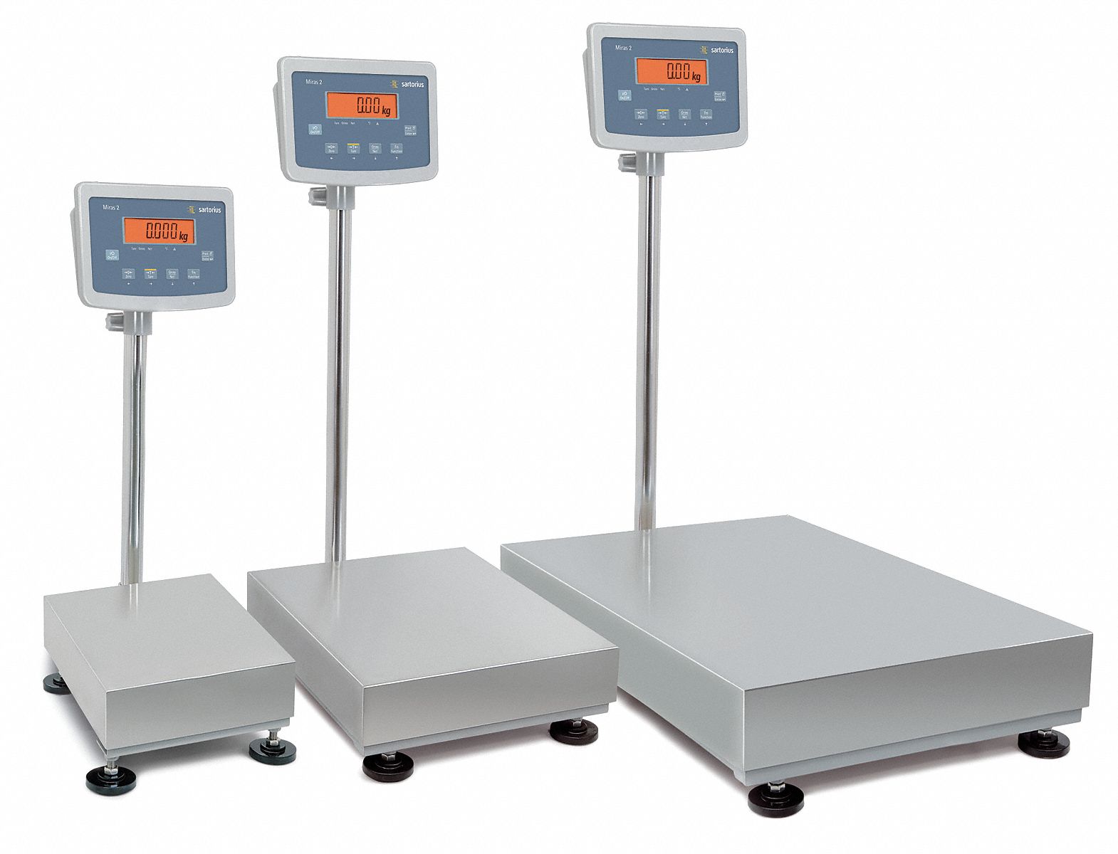 SARTORIUS Floor Scale, LCD Scale Display, Weighing Units kg, lb 6XTK7