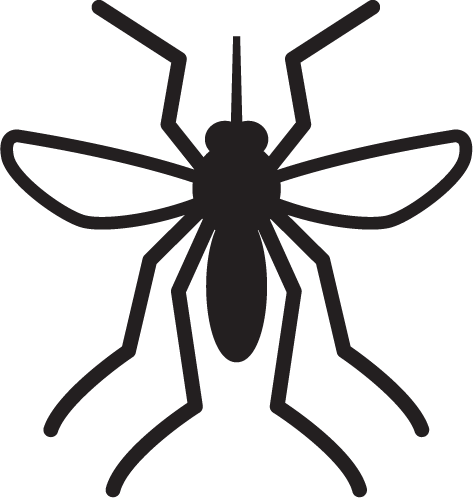 Mesquito-borne Diseases
