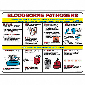 Safety Banners and Posters