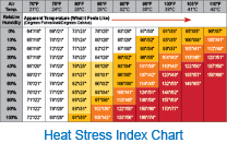 Heat Stroke Temperature Chart