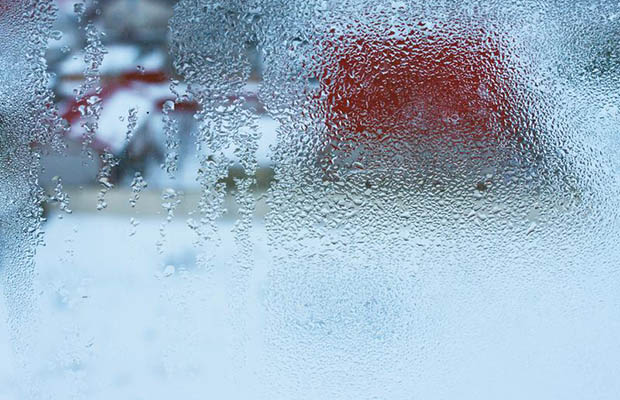 Condensation Management: A Critical Component to Food Safety
