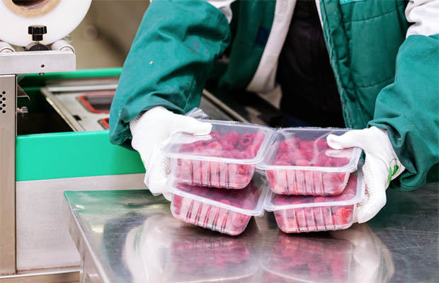 Continuous Improvement in Sanitary Design: Why Food Safety Is Always Evolving