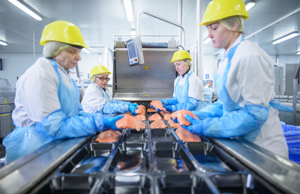Dollars And Sense: Why Food Companies Should Embrace Innovation