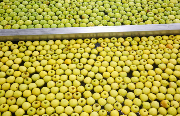 Where Do Foodborne Illness Outbreaks Start?