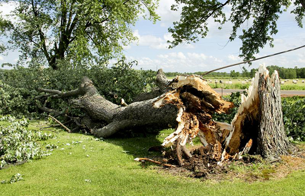 Is Your Business Prepared for Tornado Season?
