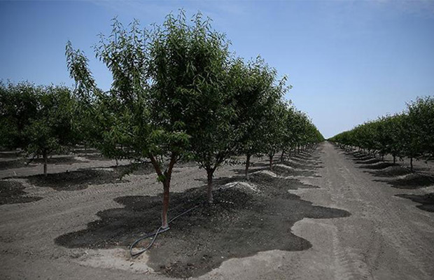 The Role of Technology on Today's Farms
