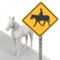Horse Crossing Signs