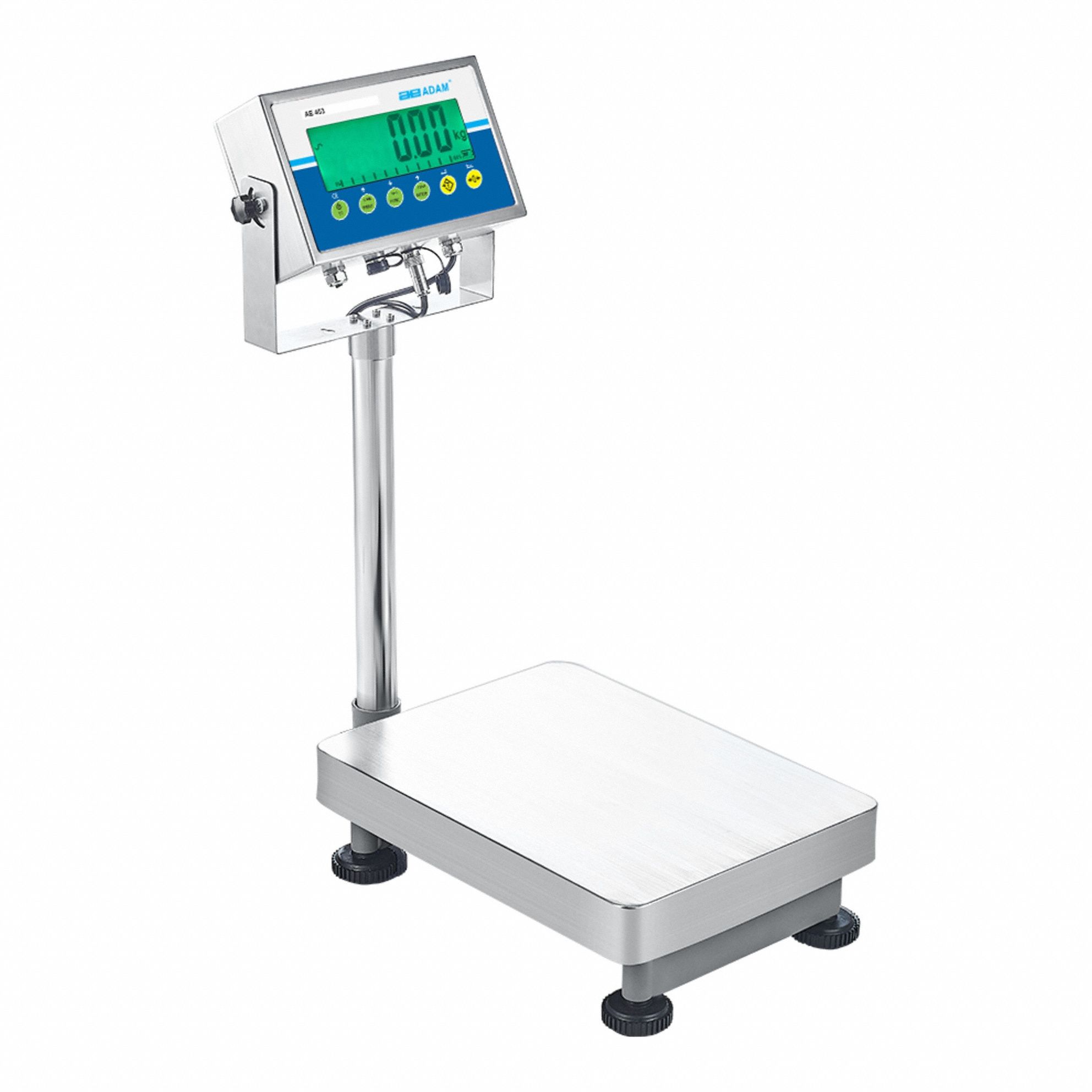 Industrial Bench Scales - CLONE 1 - Benc