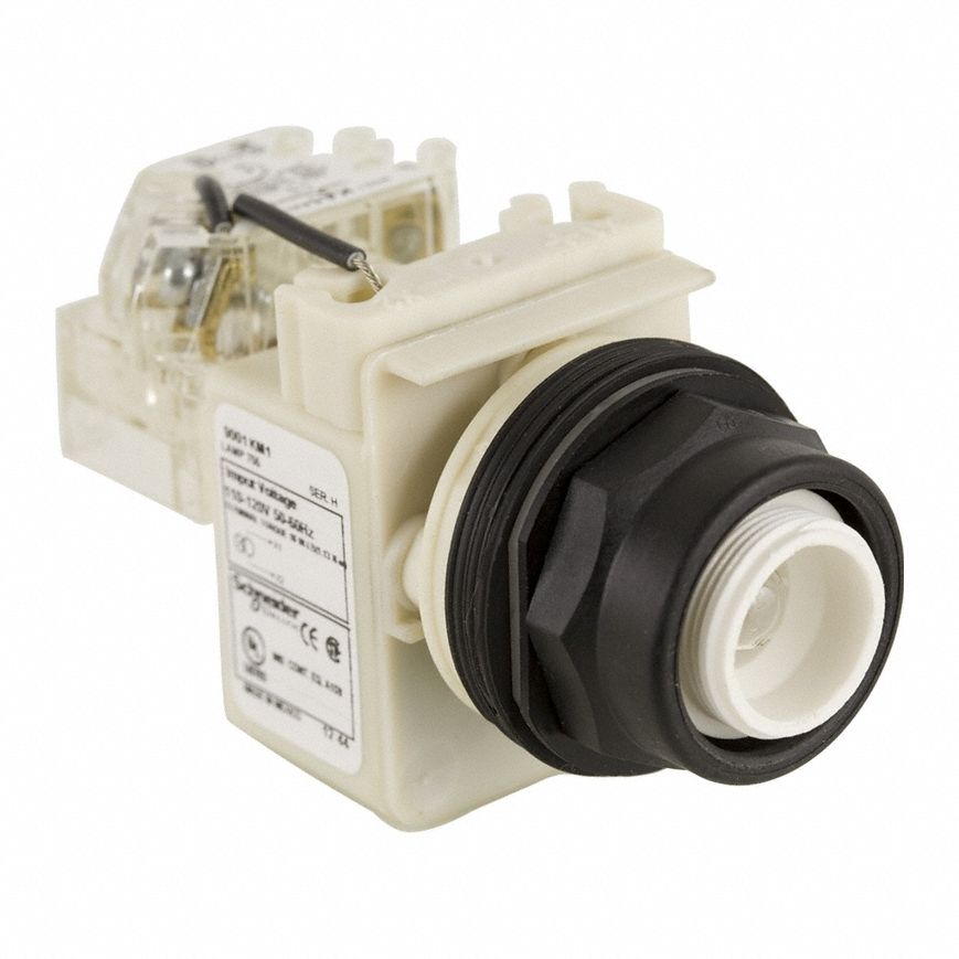 Pilot Light: 30 mm Panel Mounting Size, No Lens Included, Incandescent