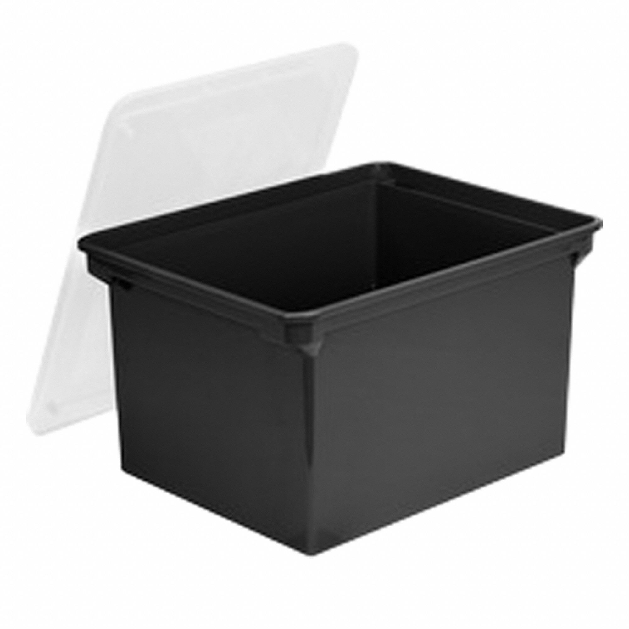 File Box Black/Clear Plastic