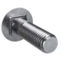 Carriage Bolts & Step Bolts