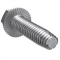 Thread-Cutting & Thread-Forming Screws