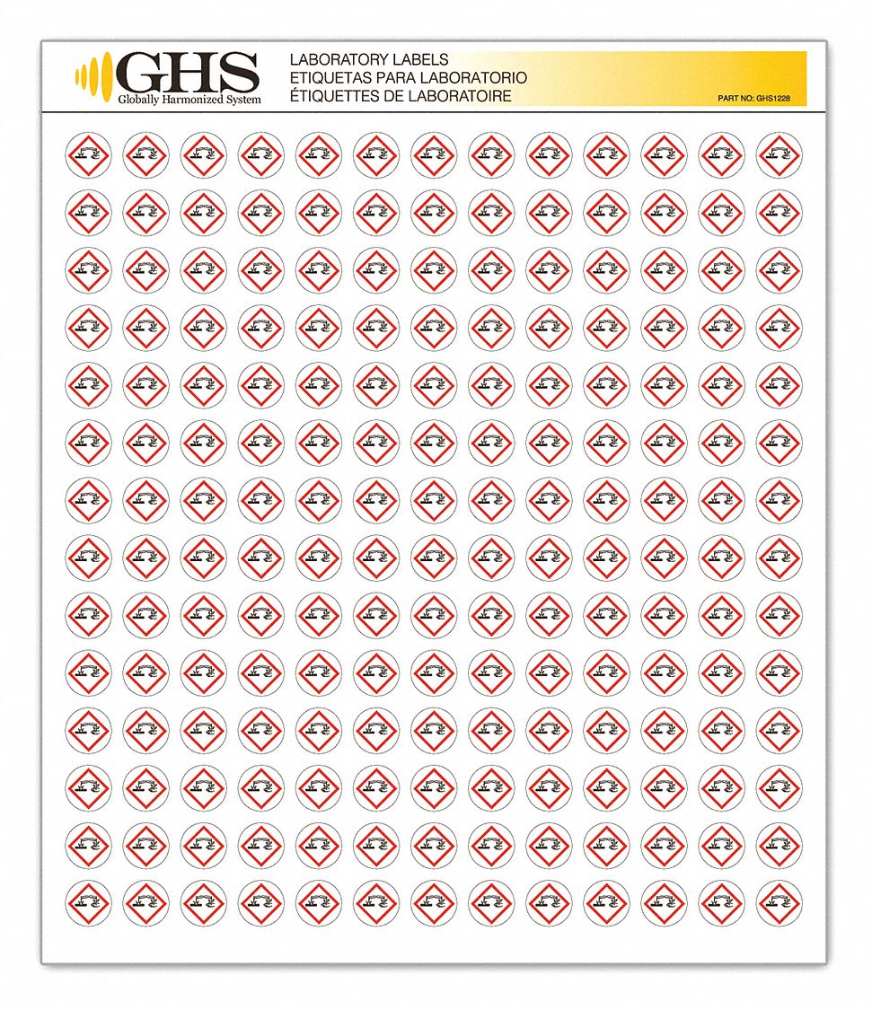 GHS Label: Corrosive Pictogram, 1/2 in Ht, 1/2 in Wd, 0.0035 in Thick, English, GHS, Paper, 1, 820 PK