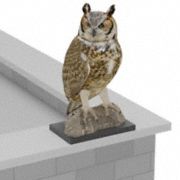 Visual Bird Repellents