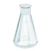 Glass Erlenmeyer Flasks