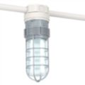 Ceiling-Mounted Round Incandescent Hazardous Location Lights