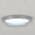 Shower-Area Confinement LED Light Fixtures