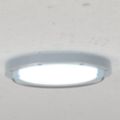 Flush-Mount Vandal-Resistant LED Light Fixtures