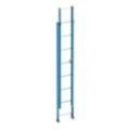 Extension & Telescoping Ladders