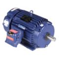 Hazardous Location AC Motors