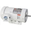 Washdown AC Motors