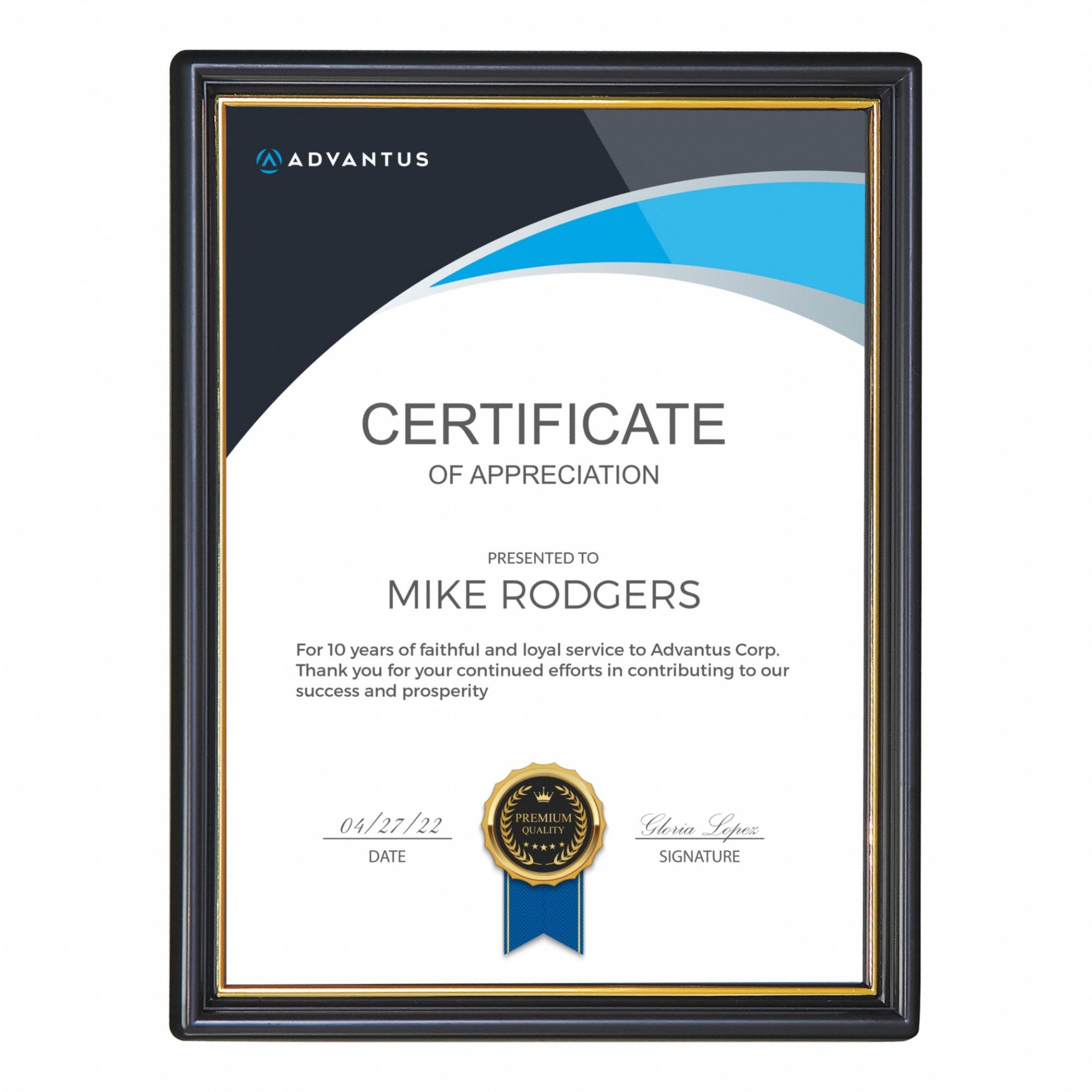 DOCUMENT FRAME, 8 1/2 IN X 11 IN, BLACK/GOLD, PLASTIC FRAME MATERIAL, PLASTIC WINDOW MATERIAL