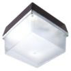 LED Standard Canopy Lights