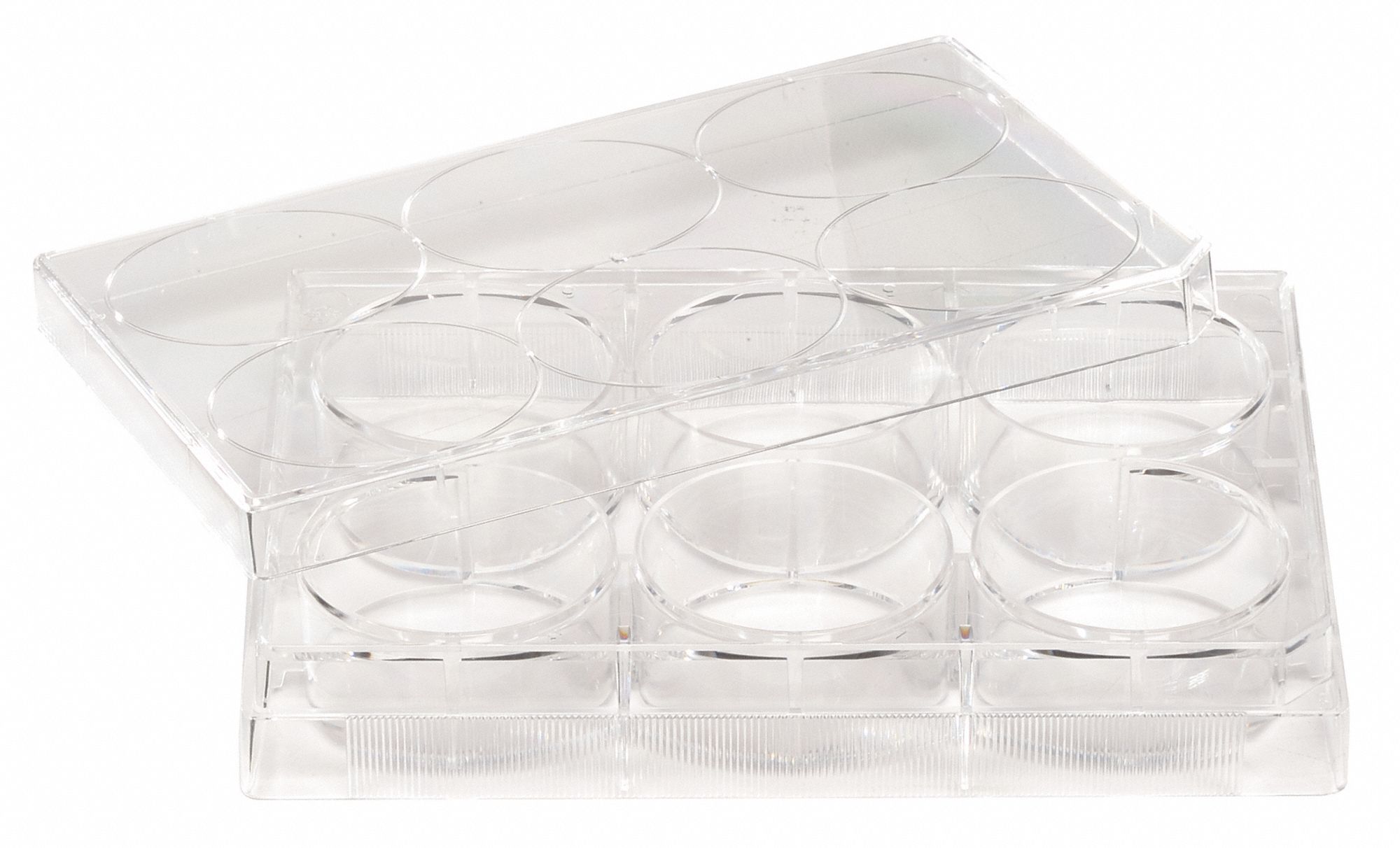 6 WELL TISSUE CULTURE PLATE W/LID,PK50