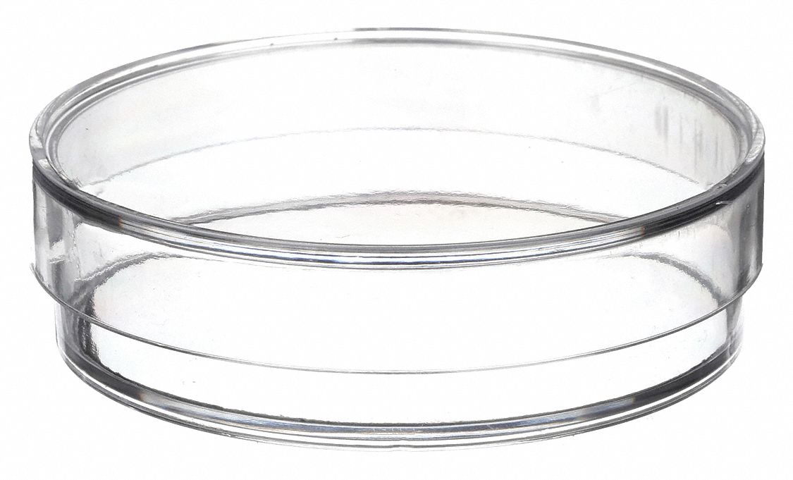 BTE PETRI,POLYPROP,120MM,12