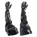 Glove Box Gloves