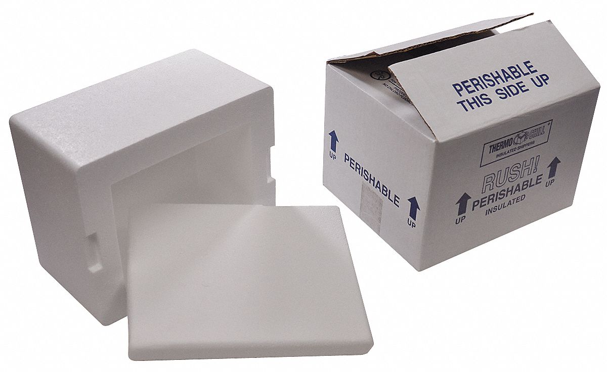 8x6x5 Styrofoam Insulated Shipping Container w/ Outer Mailing Box 1 Gel Ice Pack 