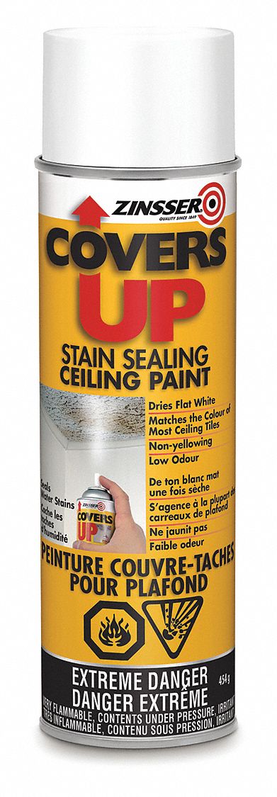 Rust Oleum Paint Sealing Covers Up Stain Interior Paints