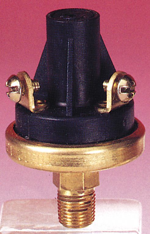 PRESSURE SWITCH, DUAL, 30 PSI, GLASS/POLYESTER/BRASS