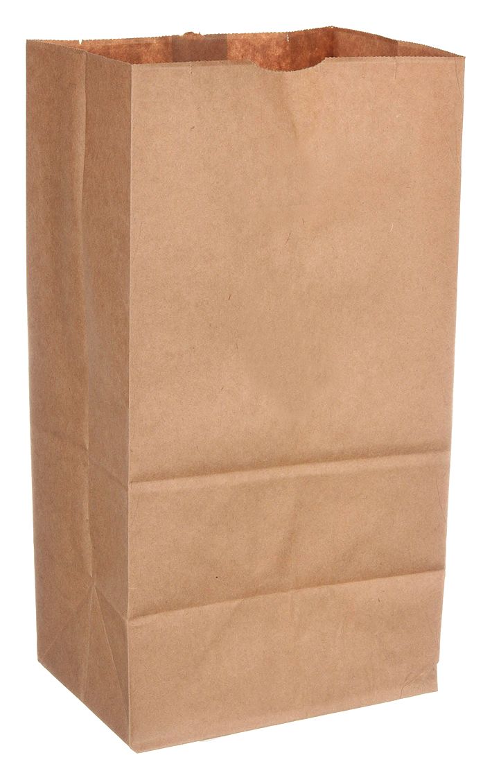 Grocery Bag: 8 1/4 in Wd, 6 1/6 in Dp, 15 11/12 in Ht, Grocery Bag, Kraft, 500 PK