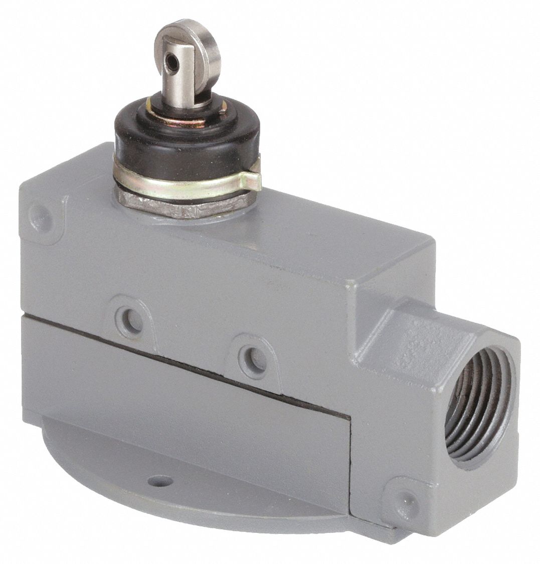DAYTON, Cross Roller Plunger, Limit Switch 12T91912T919 Grainger