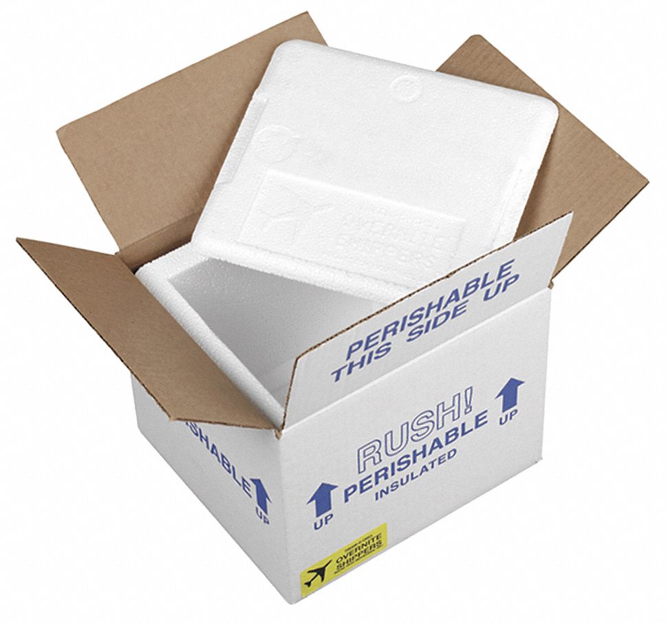 8x6x5 Polystyrène isotherme Conteneur avec extérieur Mailing BOX 1 Gel Ice Pack 