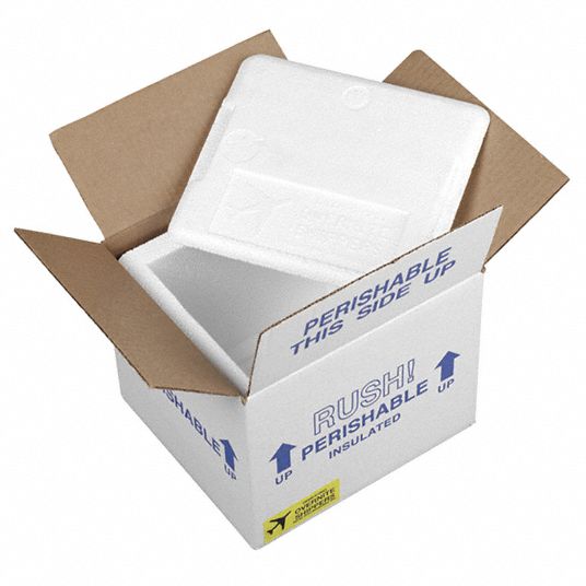 ProPak Insulated Styrofoam Container 8x6x7 inside with Shipping Box & 3  icepacks