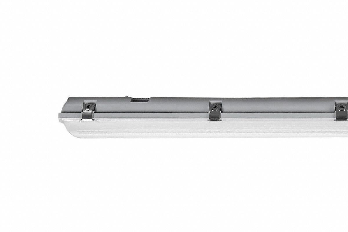 Albeo 3G-OTH-641278