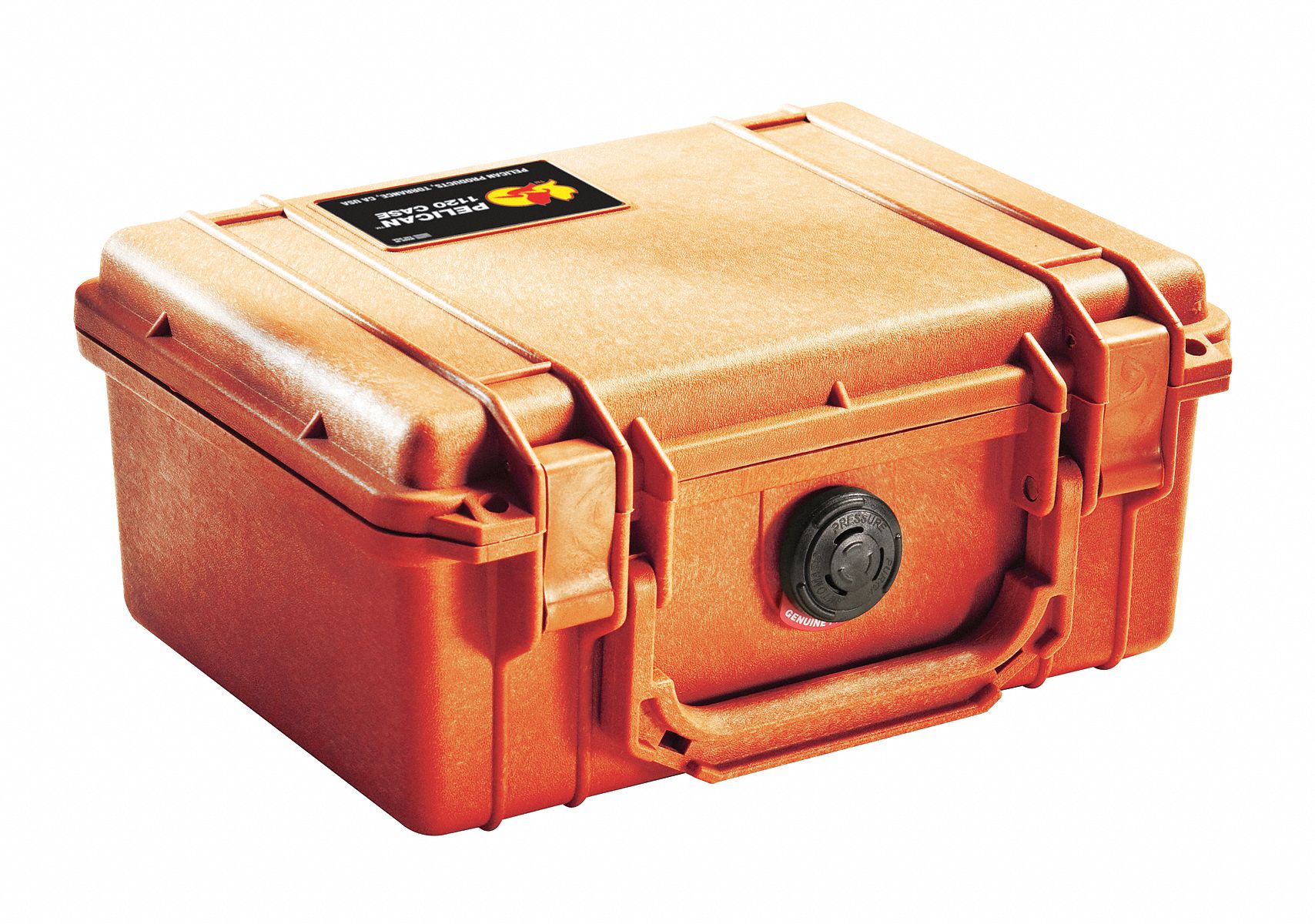 Protective Case Grainger